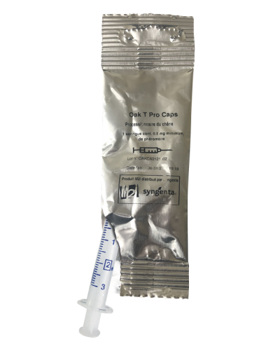 PHEROMONESCHENILLE PROCESSIONNAIRE DU CHENE